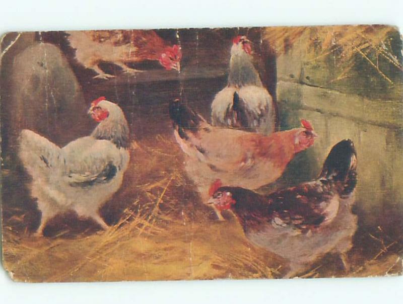 Divided-Back BIRDS SCENE Pretty Postcard AA8940