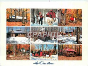 Postcard Modern Landscapes of Quebec Les Cabannes Sugar Quebec