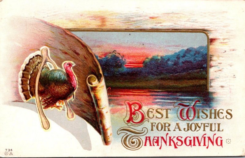 Thanksgiving Greetings With Turkey 1916
