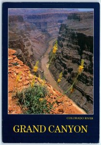 Postcard - Colorado River, Grand Canyon - Arizona