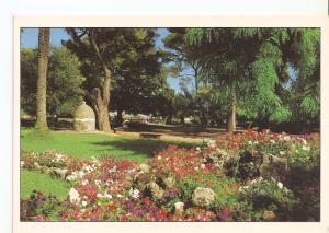 Postal 032209 : Nice Le Jardins du Chateau