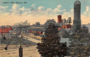 Salisbury Maryland Jackson's Mill Vintage Postcard AA48582