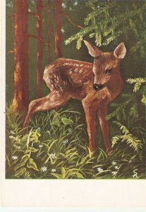 Animals. Bambi, by Rud Sonnleitner Modern German, artist drawn, postcard