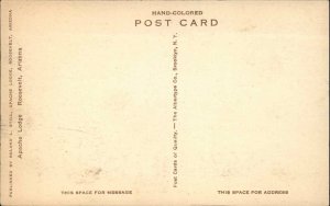 Roosevelt Arizona AZ Apache Lodge Albertype c1910 Vintage Postcard