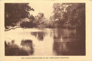 A majestic river in the african jungle scenic postcard 1957 