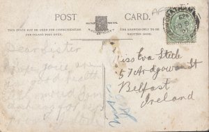 Genealogy Postcard - Family History - Steele - Belfast - Ireland  BH5722