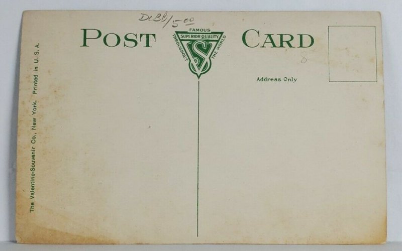 Pottsville Pennsylvania Thompson Building c1915 Postcard T1