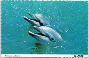 Postcard - Friendly Dolphins, Sea World