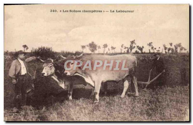 Old Postcard Folklore The farmer Beef