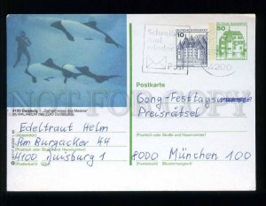 210697 GERMANY Duisburg #4100 ZOO DIVER & Dolphins postal card