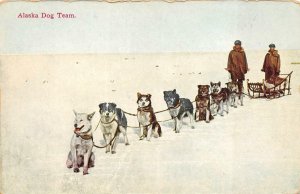 ALASKA DOG SLED TEAM POSTCARD (c. 1910)
