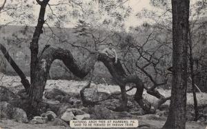 Hamburg Pennsylvania Natural Arch Tree Scenic View Antique Postcard J71611