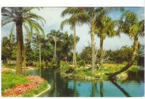 Busch Gardens, Tampa, Florida, Vintage 1972 Chrome Postcard, Slogan Cancel