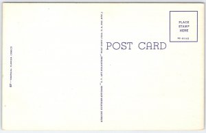 Vintage Curt Teich Comic Postcard Tropical Florida Monkeys Sailing