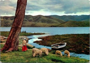 VINTAGE CONTINENTAL SIZE POSTCARD PACA LAKE JAUJA REGION PERU AIR STAMPS 1977