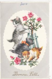 B78675 bonne fete  cats chat scan front/back image