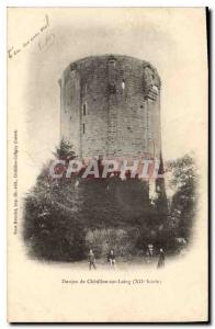 Old Postcard Chatillon Coligny Loiret Le Chateau du Donjon