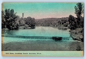 Jackson Minnesota Postcard Mill Dam Looking North Scenic View Trees 1913 Vintage