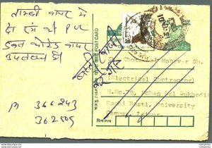 India Postal Stationery Tiger 25 Blackbuck to Kachi Basti Jaipur