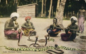 ceylon, Native Snake Charmers (1910s) Postcards