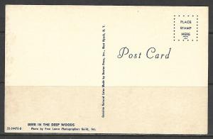 Deer In The Deep Woods - [MX-081]