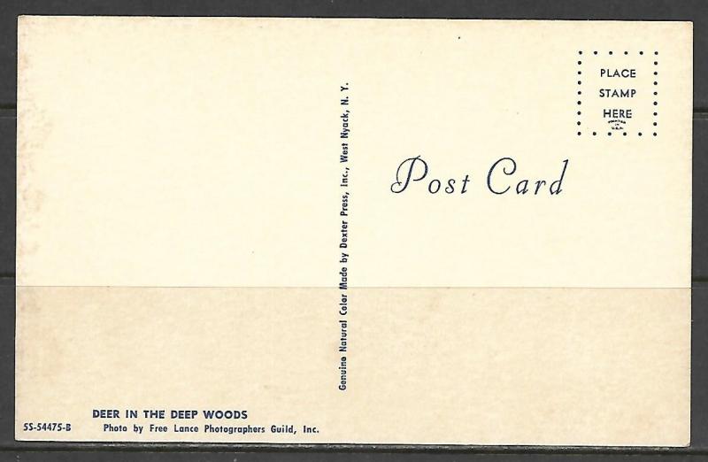 Deer In The Deep Woods - [MX-081]