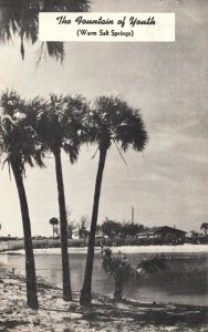 Vintage Postcard The Original Fountain Of Youth Healing Water Spring Denice FL