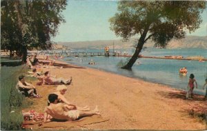 California Lakeport Bathing Beach Clear Lake Redwood News Postcard 21-13057