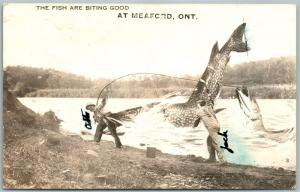 MEAFORD ONT. CANADA FISHING EXAGGERATED ANTIQUE REAL PHOTO POSTCARD RPPC