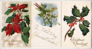 Greeting - 3 - Christmas Cards