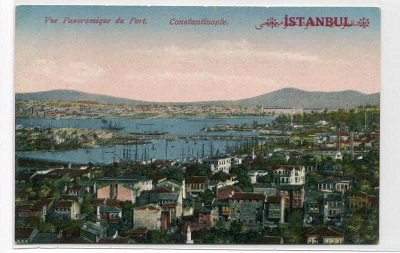 Panorama of Port Istanbul Turkey 1910c postcard