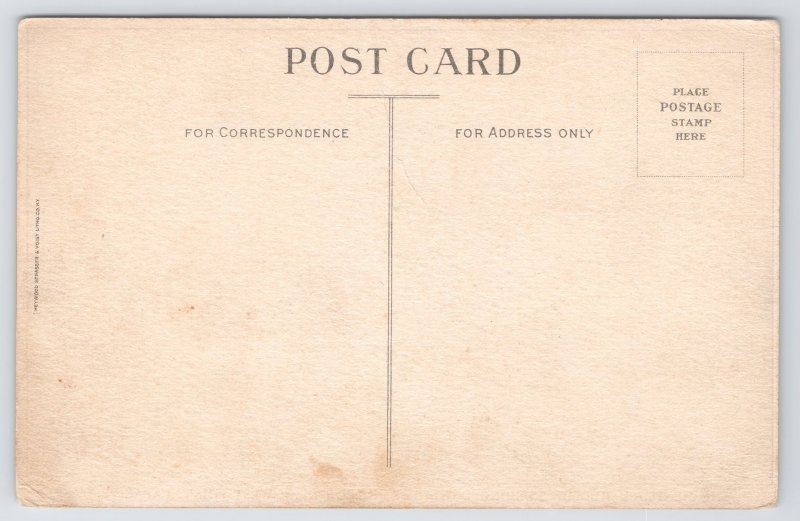 Transportation~Hendrick Hudson Rushing Down Hudson River~Vintage Postcard