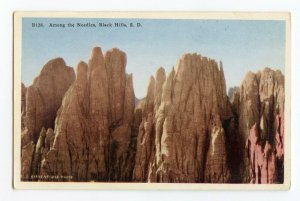 Postcard Among The Needles Black Hills S. D. Standard View Card