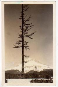 OR - RPPC, Mt Hood Loop