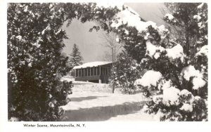 Vintage Postcard Real Photo Winter Scene Mountainville New York RH Gobrecht RPPC