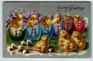 Easter Postcard Baby Chicks In Cracked Painted Eggs Tuck 1909 Series 701