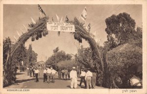 Israel Rishon le Zion Exhibition Flags vintage postcard B931