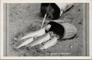 Fish Caught in Northwest Fishing Unused US Forest Service Litho Postcard G95