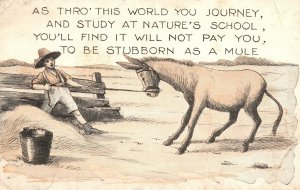 Vintage Postcard 1910s As Thro' This World You Journey Stubborn as a Mule Comic