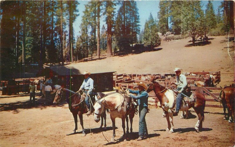 Postcard California Pinecrest Park Station 1959 Cowboy Roberts 23-5977