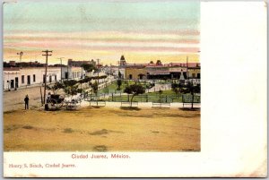 Ciudad Juarez Mexico Park Ground Horse Carriage Postcard