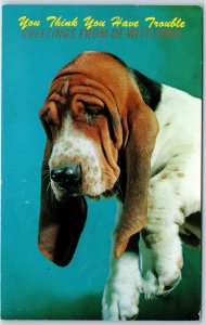 1957 De Witt IA Greetings Ashamed in Trouble Basset Hound Cute Dog Puppy PC A234