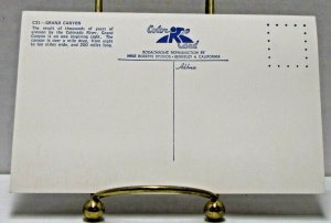 Grand Canyon Arizona Vintage Postcard