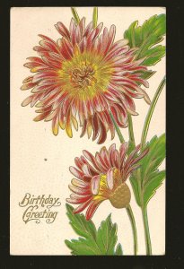 Postmarked 1911 Romeo Mich Birthday Greetings Embossed ZIM Color Postcard