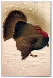 1908 Thanksgiving Greetings Turkey Airbrushed Embossed Milwaukee WI Postcard 