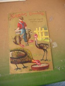 THANKSGIVING GREETINGS THAT'S RIGHT POSTCARD