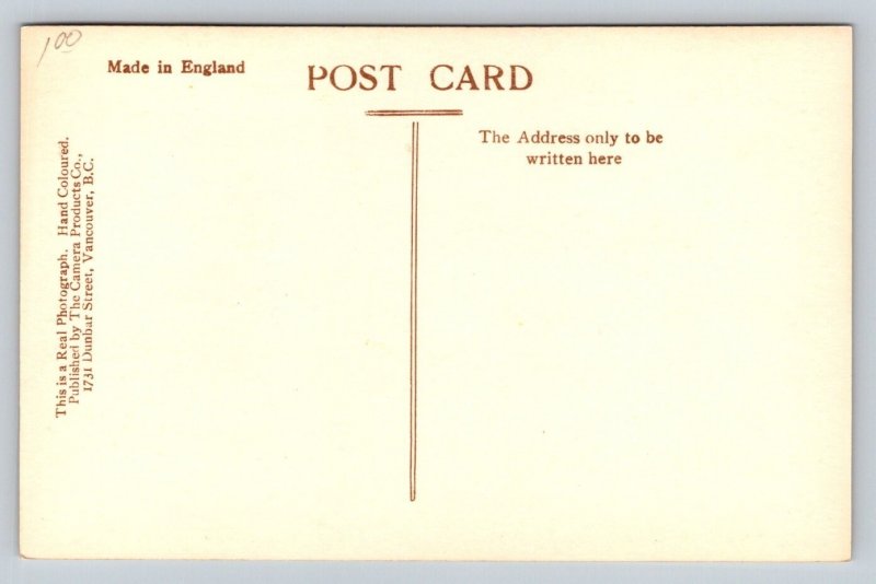 RPPC  Hand Colored  Poppy Time   Alberta  Canada    Postcard