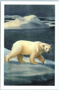 Postcard - Polar bear in the Arctic