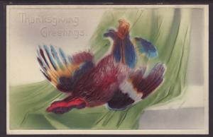 Thanksgiving Greetings,Turkey,Embossed Postcard