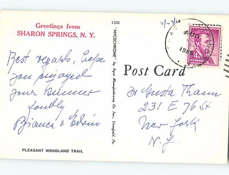 Pre-1980 GREETINGS FROM POSTCARD Sharon Springs New York NY ho5841